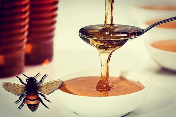 ما هي العناصر التي يحتوي عليها  عسل النحل الطبيعي؟